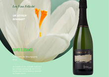 Charger l'image dans la galerie, Domaine de Champ-Fleury Crémant de Bourgogne