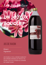 Charger l'image dans la galerie, Domaine de Champ-Fleury - Jus de raisin